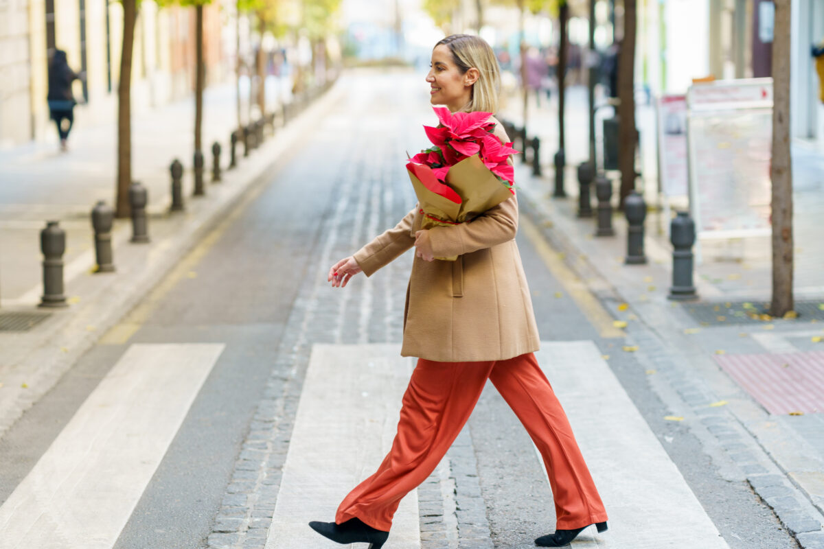 Pedestrian in the street